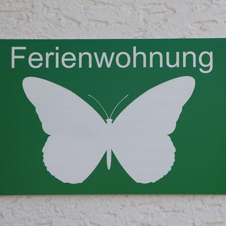 Ferienwohnung Schmetterling Trendelburg المظهر الخارجي الصورة